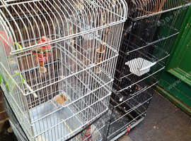 Bird Cages For Sale Black And White In Deal Ct On Freeads