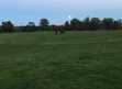 Livery Rowebuck Stables Isfield Uckfield in Uckfield