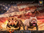 Exotic micro bully