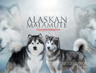 Alaskan Malamute Puppies for sale chempion line