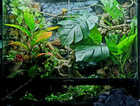 Zoo Med 90--45--90 Paludarium