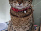 !! Missing !!