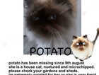 MISSING £100 reward
