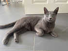 Atlas - missing Warwickshire