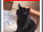 Missing!!!!!!!