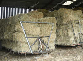 Hay - Conventional 2024 Hay Bales
