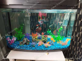Fishtank