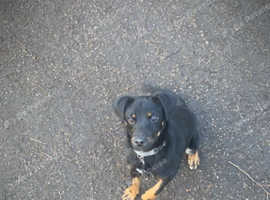 For sale