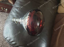 Heat bulbs red