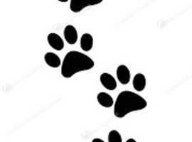 Professional and fully insure Per microchipping