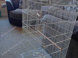 For sale large bird cage