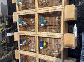 Breeding cages