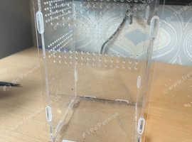 Hissing cockroaches and small enclosure