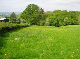 Grass pasture field and woodland 3.3 acres in SY22 (Powys)
