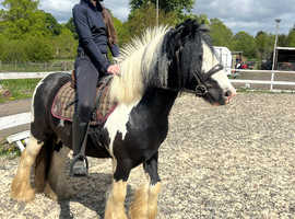 13h beautiful cob