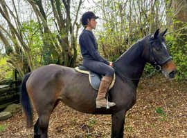 Flashy, 15.2 TB mare