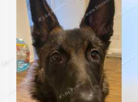 Rehome
