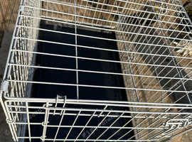 Medium sized dog crate with two doors.