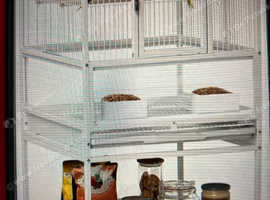 Bird Cage