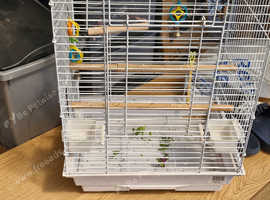 Bird cage