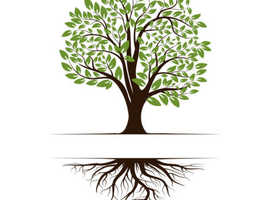 Find your roots and your ancestors. Develop your family tree.
