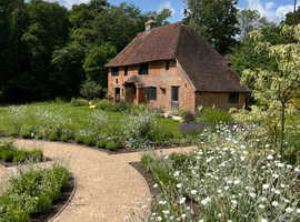 Monday summer job in garden