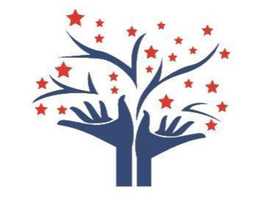 Domicillary care