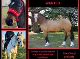 Free sales livery available