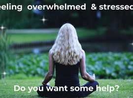 Holistic Mindfulness Therapy
