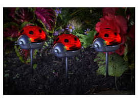 Lovely Ladybird Solar Stake Lights