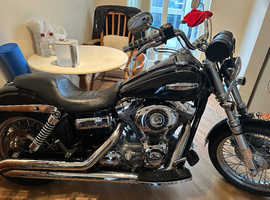 Harley
