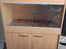 3ft vivarium with cabinet