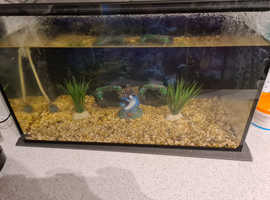 36 Litre tank with fish.