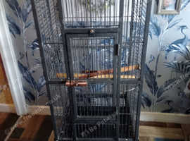Parrot cage grey