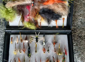 Collection of flies for fishing