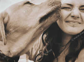 Dog walking and pet services