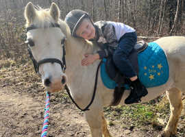 12hh mare lead rein or 1.5/2nd pony