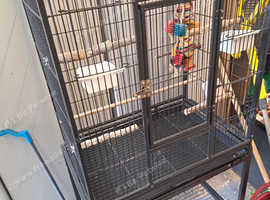 Bird cage