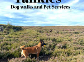 Tankies dog walks and pet services