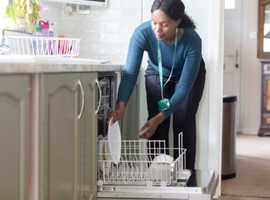 Domestic services