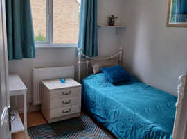 1 SINGLE BEDROOM