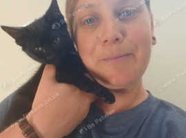 Rhia's Cat Care, Weymouth