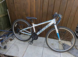 Carrera bicycle