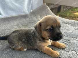For sale