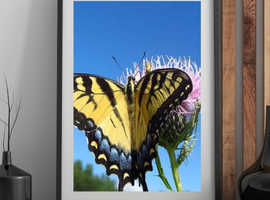 Country Living Wall Art - Rustic Landscapes & Countryside Prints