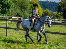 128 allrounder