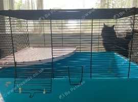 Cat cage indoor argos best sale