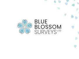 Blue Blossom Surveys Ltd