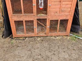 Hutch with thermal cover
