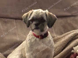 Female for sale